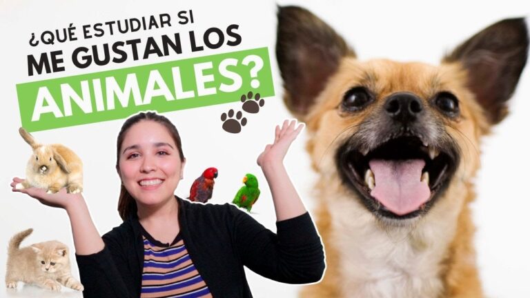 Investigaciones Innovadoras en Estudios Relacionados con Animales
