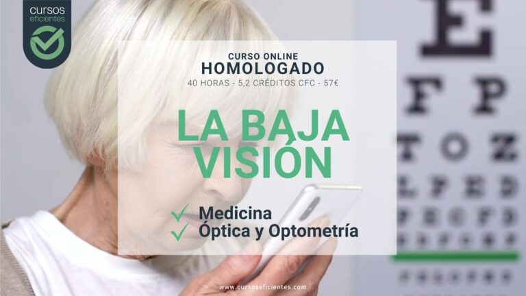 Mejores Cursos de Fisioterapia Homologados para Tu Carrera Profesional