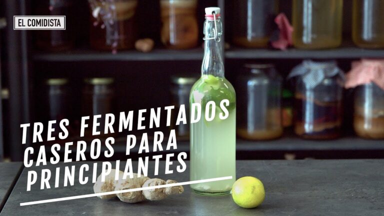 Fermentación de Frutas: Transformando Sabores y Nutrientes