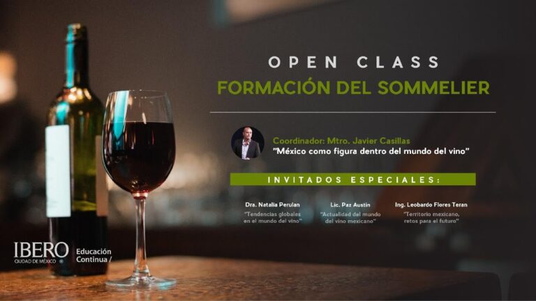 Domina el Arte del Vino: Curso de Somelier Essencial