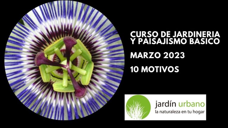 Cursos de Jardinería y Paisajismo: Aprende a Diseñar Espacios Verdes