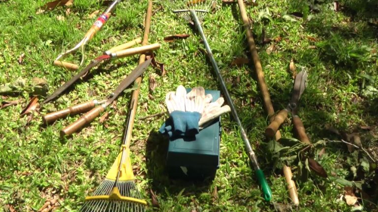 Gu&iacute;a Esencial para Estudiar Jardiner&iacute;a Eficazmente