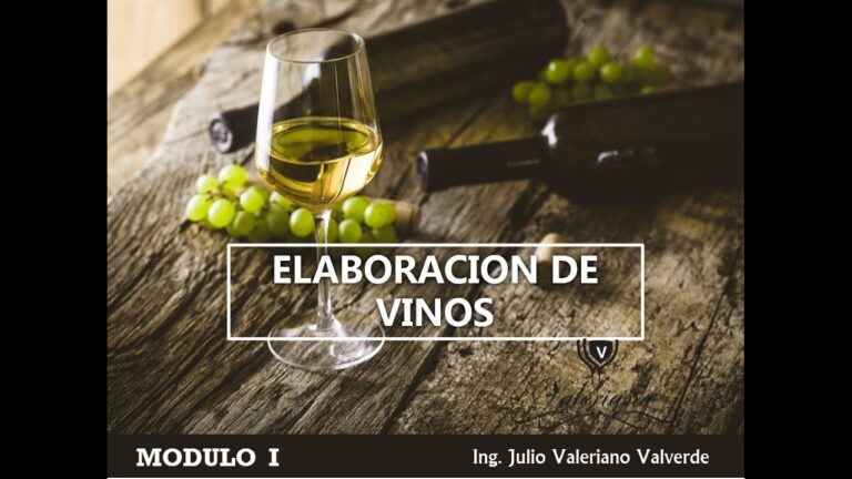 Curso de Elaboración de Vinos: Domina el Arte Vinícola