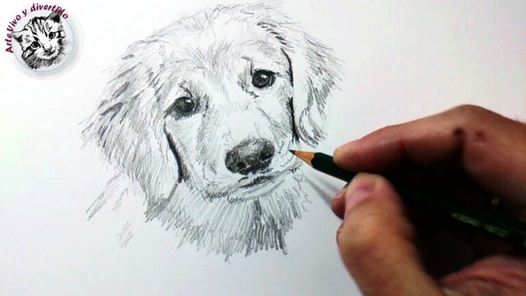 T&eacute;cnicas Esenciales para Dibujos a L&aacute;piz