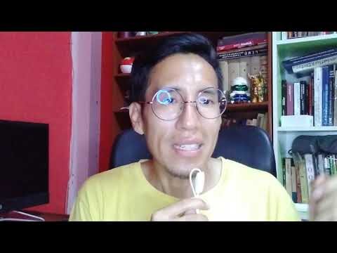 Diferencias Clave entre Asistente Social y Trabajadora Social