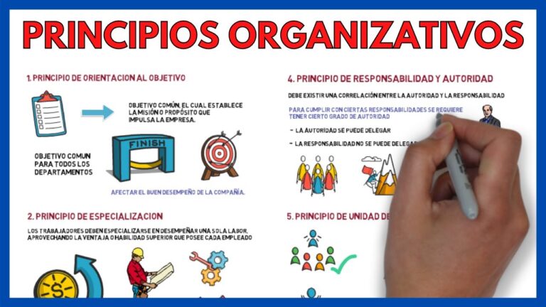 Principios Clave de la Organización Empresarial