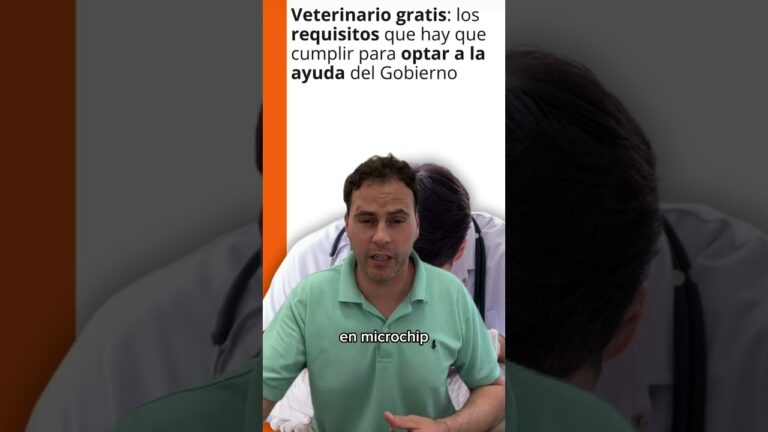 Ayuda del Gobierno: Veterinario Gratis para Mascotas
