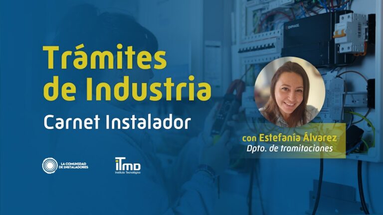 Carnet de Instalador Electricista: Gu&iacute;a del Ministerio de Industria