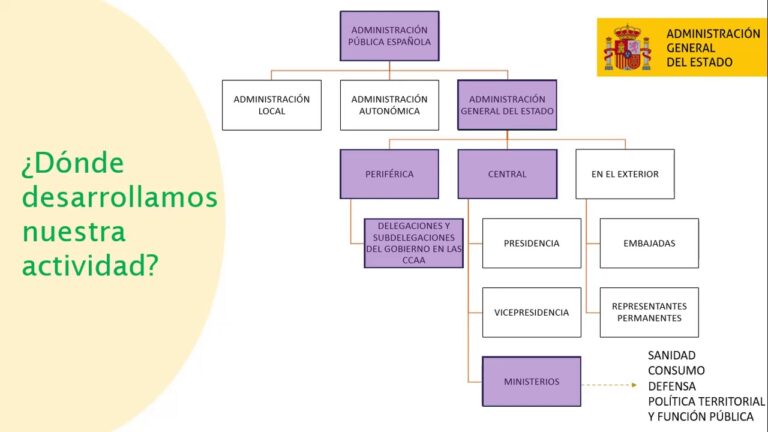 El Rol del Farmac&eacute;utico Titular del Estado en la Atenci&oacute;n Sanitaria