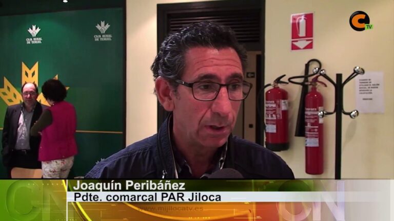 Transporte Eficiente en USJ: Soluciones y Desafíos