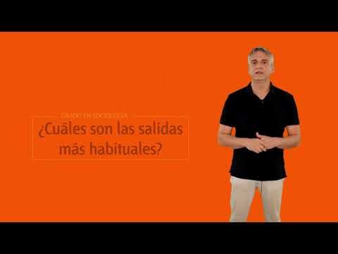 Asignaturas de Sociolog&iacute;a en la UNED: Gu&iacute;a Completa