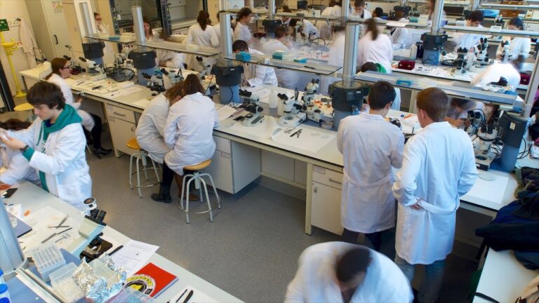 Innovaciones y Oportunidades en la Facultat de Química URV