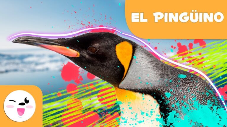 Los pingüinos: ¿mamíferos o aves?
