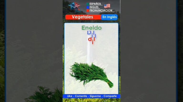 Dill en Español: Todo lo que Necesitas Saber