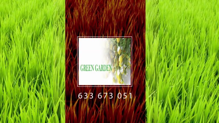 Tus Jardineros en Alicante: Soluciones Verdes para Tu Hogar