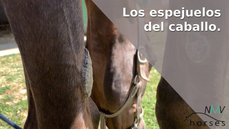 El Espejuelo Caballo: Cuidado y Prevención