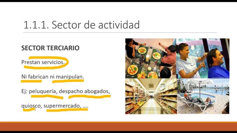 Curso de Recepcionista SEPE: Oportunidades y Formaci&oacute;n Profesional