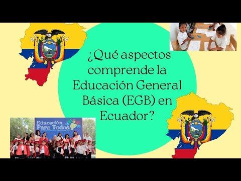 Significado de e.g.b: Todo lo que necesitas saber