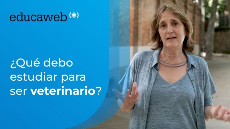 Requisitos de Estudio para Convertirse en Veterinario