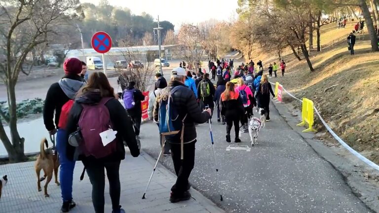 Cursa dels Llebrers: La Competencia del Año