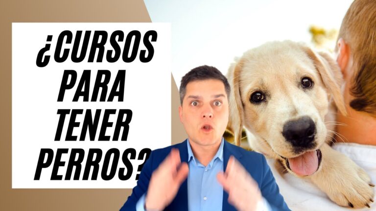 Curso Gratuito para Cuidar Mascotas
