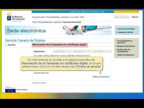 Ofertas de Empleo en Tenerife: Oportunidades del INEM