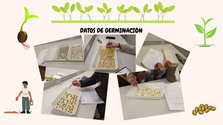 Innovaci&oacute;n Educativa en IES Vallecas 1