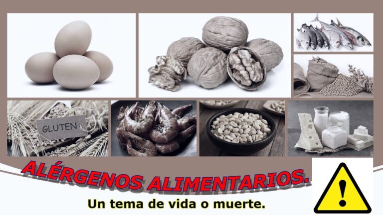 ¿Qué es un alérgeno alimentario?