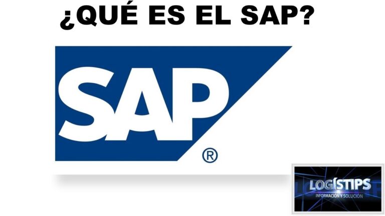 &iquest;qu&eacute; es un programa SAP?