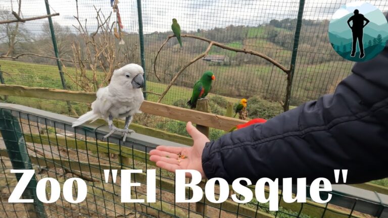 Descubriendo el Zoológico en Asturias: Un Paraíso de Fauna y Naturaleza