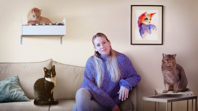 Domina la Etolog&iacute;a Felina: Curso Esencial para Amantes de los Gatos
