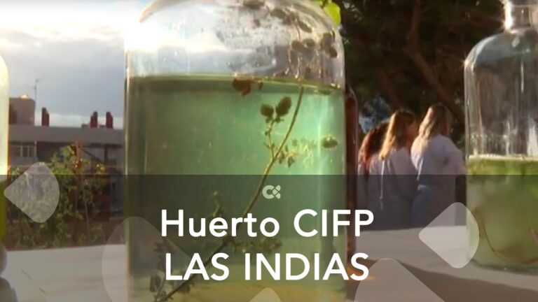 Transformación Educativa en el Centro Integrado de Formación Profesional Las Indias