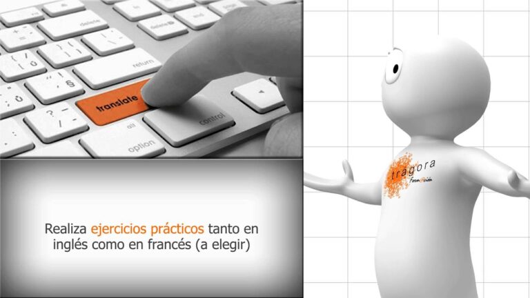 Traductor Especializado de Francés a Español