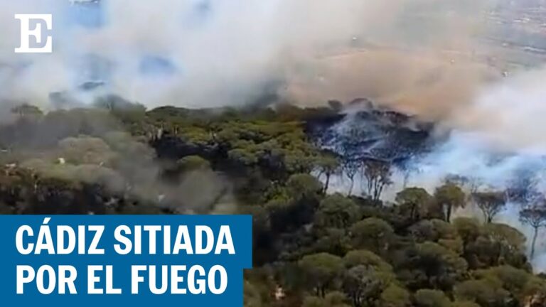 Incendios en Cádiz: Causas y Consecuencias
