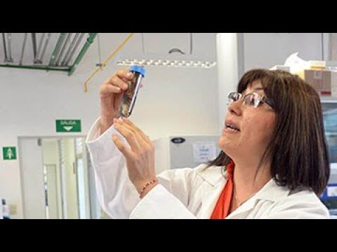 Estrategias Efectivas para la Descontaminación del Medio Ambiente